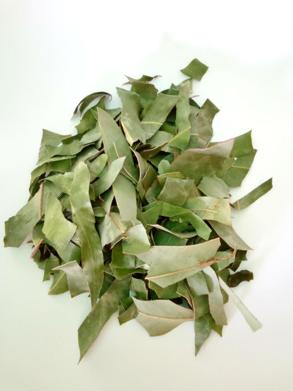 tisane eucalyptus bronches vrac