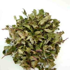 feuilles de menthe gingembre